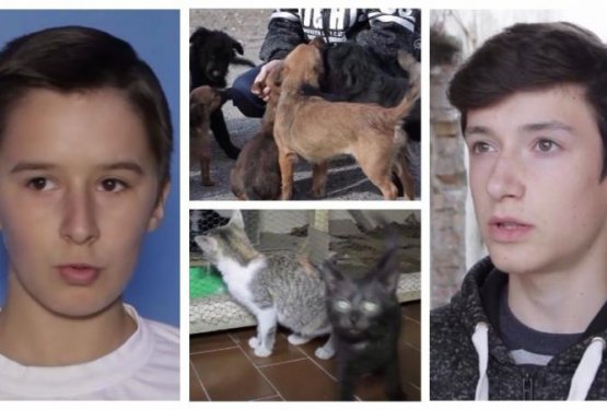 Najstnika v Bosni uredila zavetišče za živali