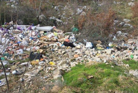Nov krvav zločin v Bosni! Na smetišče odvrgli brezdomne in lastniške pse!