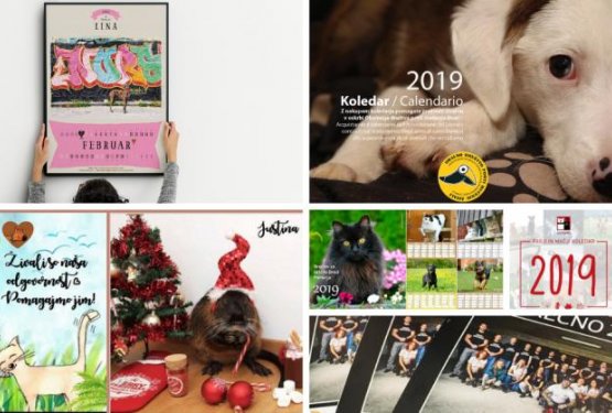 To so koledarji društev, s katerimi pomagate živalim v stiski!