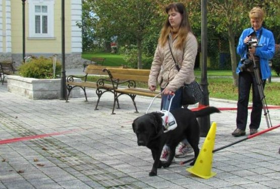 Slovenija: Ko pes postane tehnični pripomoček