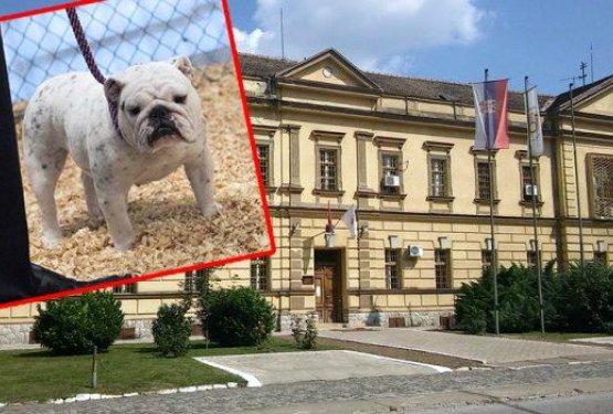 Edini na svetu: Zapor, ki ima zavetišče za pse