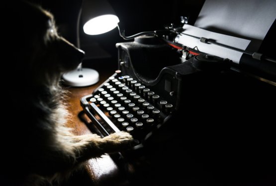 Božične želje kosmatinca Pikija