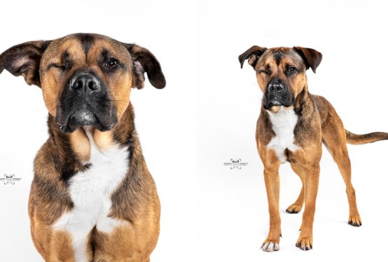 Pride&scaron; pome? Obljubim, da ti bom stal ob strani do konca!