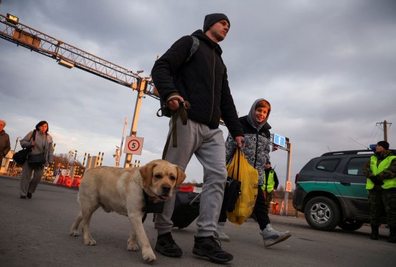 Nekateri slovenski veterinarji beguncem ne zaračunavajo storitev za njihove živali