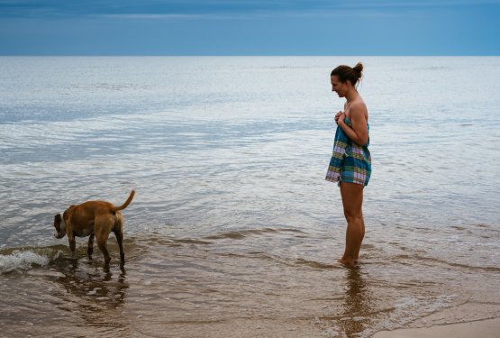 Pes in morska voda &ndash; priporočila, težave, nasveti