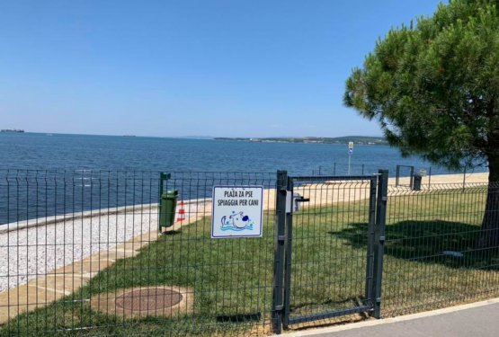 Koper je dobil pasjo plažo!