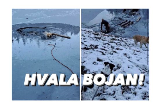 Video: Bojan brez pomisleka skočil v ledeno jezero in rešil psa