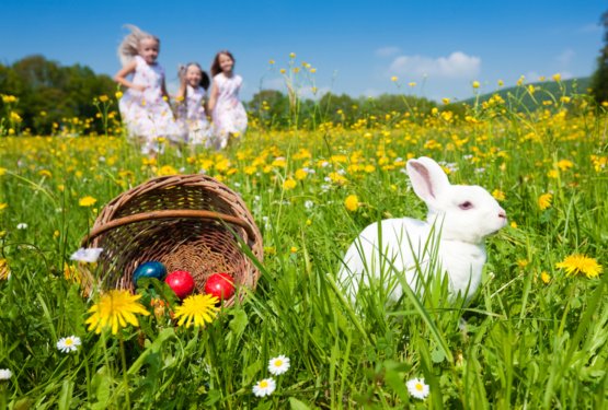 Zakaj za veliko noč pride zajček? Zgodba, ki jo poznamo vsi &ndash; a le redki zares