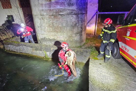 Gasilci rešili obnemoglega psa iz kanala
