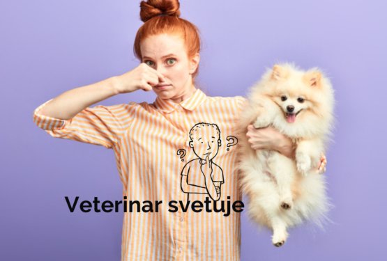 Kako prepoznati in zdraviti težave s prebavo, ki se kažejo v obliki napenjanja ali plinov pri psu?