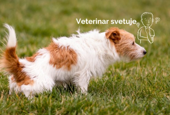 Težave z uriniranjem