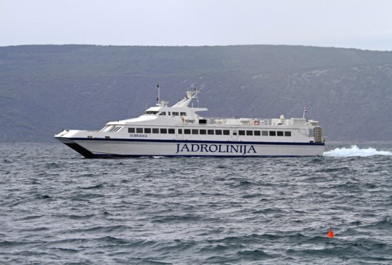Zaradi pomanjkanja pasjih boksov &ndash; bolan pes obtičal na otoku