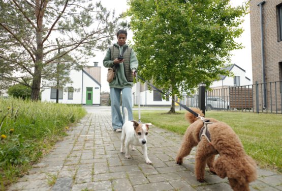 Sprehod s psom: za vas ali za psa?