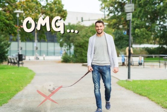 Sprehod brez psa – nova modna muha ali znak, da nekaj res ni v redu?