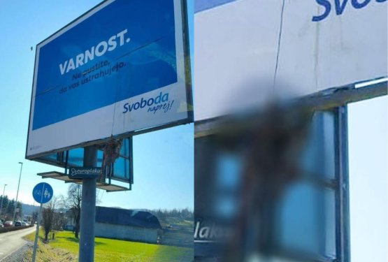 Truplo psa kot “sporočilo”? Dogodek, ki ne bi smel nikoli postati normalen