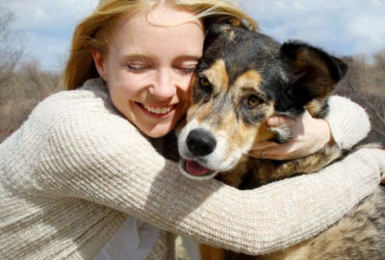 Kje v Evropi živijo največji ljubitelji psov? Slovenija visoko