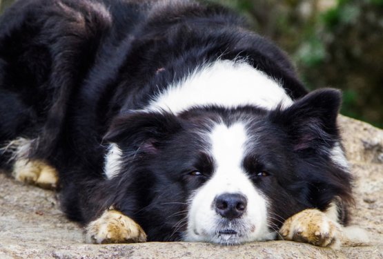 Ko vikend postane maraton: zakaj pretirana aktivnost ni vedno dobra ideja