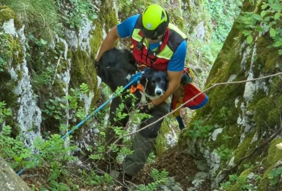 V gore s psom: začetek sezone in kako poskrbeti za varnost