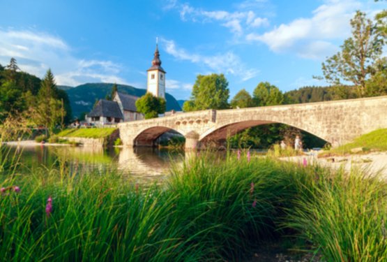 Nenadni primeri cianobakterij na Bohinjskem jezeru &ndash; kak&scaron;no je stanje letos?