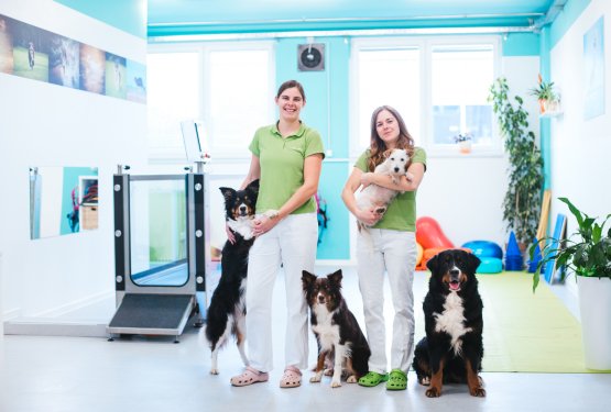 Fizioterapija je za ljudi samoumevna, kaj pa za na&scaron;e &scaron;tirinožne prijatelje?