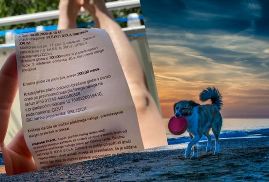 Zgrožena obiskovalka: Ker se je kopala s psom dobila 200 evrov kazni?