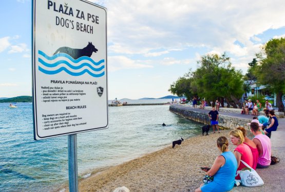 Na tem hrvaškem otoku ni veterinarja - težave tudi s prodajalnami pasje hrane!