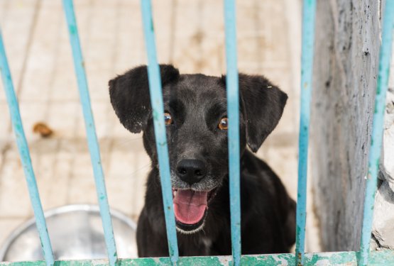 Danes polnoletnost Zaveti&scaron;ča Ljubljana in dan odprtih vrat!