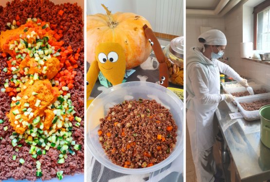 Domača kuhinja se je poimenovala Pasja Kuh'na in v tem času dostavlja tudi na dom!