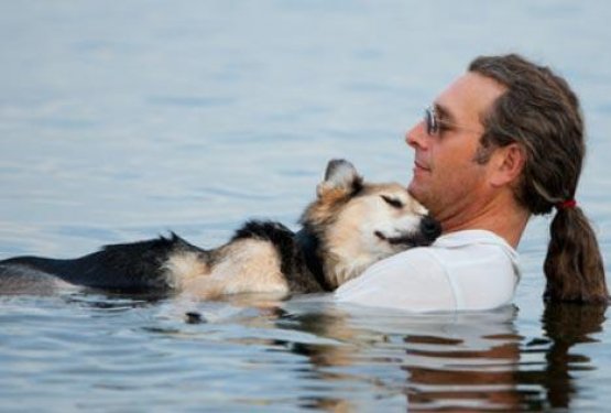 Schoepova zgodba ganila svet, donacije omogočile zdravljenje 40 psom