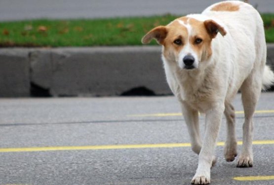 Bodi del re&scaron;itve, ne problema!