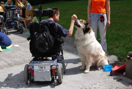 Ambasadorji nasmeha: Poklonite nasmeh, ker nasmeh polep&scaron;a dan!