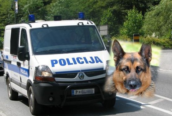Policija: Naš pes ni bil ogrožen!