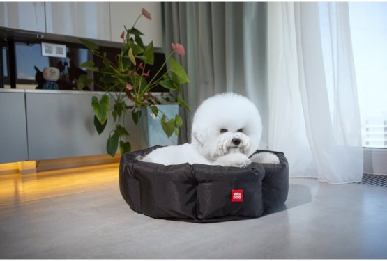 Kak&scaron;no posteljico izbrati za mladička?