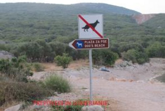 DOG WELCOME: PUNAT - KRK, Hrva&scaron;ka
