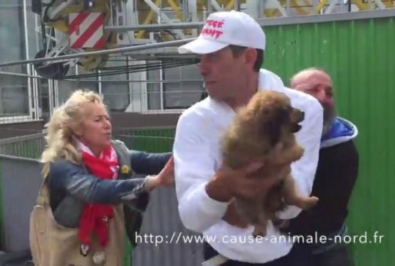 VIDEO: Francija. "živaloljubci" brezdomcu ukradli psa