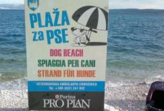 DOG WELCOME: Pasja plaža CRIKVENICA, Hrva&scaron;ka