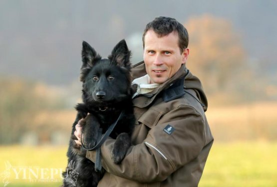 Zavetišče Ljubljana bo sprejelo pse in muce obolelih s koronavirusom