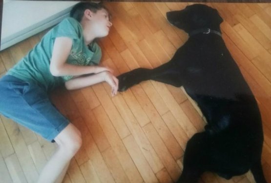 Brin dotrpel v zaveti&scaron;ču