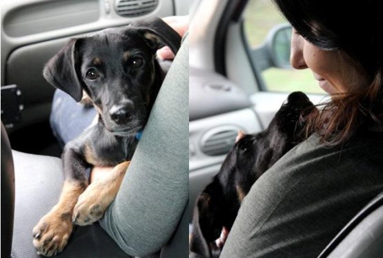 Zgodba o Zeusu - bosanski brezdomček je zdaj &scaron;vedski državljan