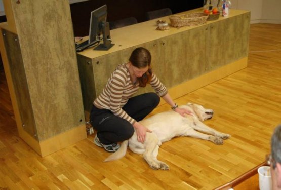 Klub za delo prina&scaron;alcev in poročilo Klubskega vikenda