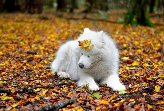 'Jaz sem re&scaron;ila tebe, ti si pa mene!'