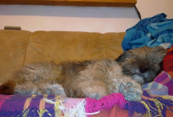 SNOOPY