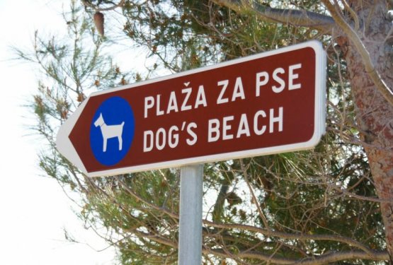 Hrvatje objavili seznam pasjih plaž za leto 2017