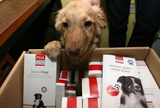 Paket zdravstvenih izdelkov za dru&scaron;tvi iz Obale