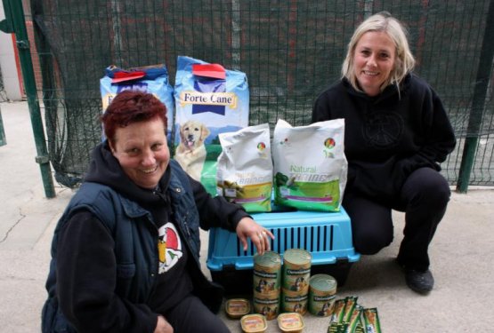 Z nakupi ste pomagali psom v Obalnem zaveti&scaron;ču