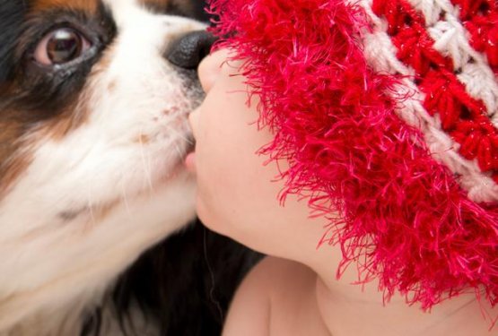 Monikina zgodba o prijateljstvu in ljubezni