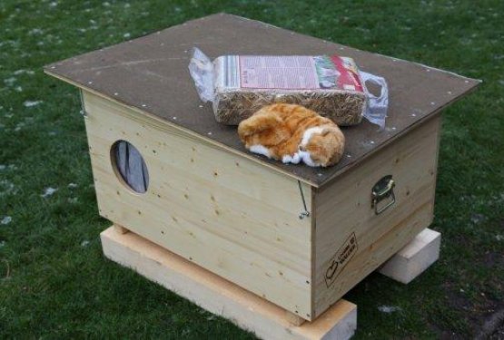 Na Dunaju hoteli za potepu&scaron;ke mačke