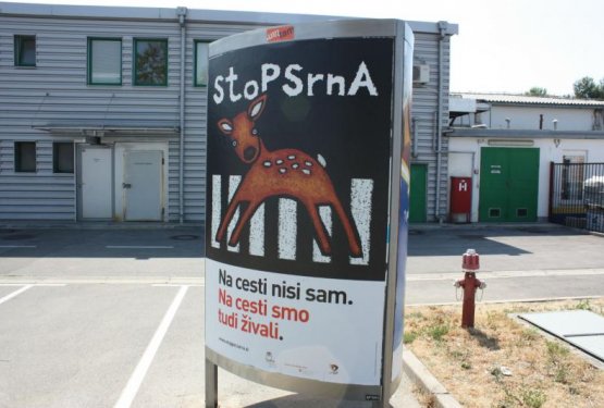 Plakatna akcija po slovenskih mestih: "Stop jež! Stop srna! Stop zajec!..."