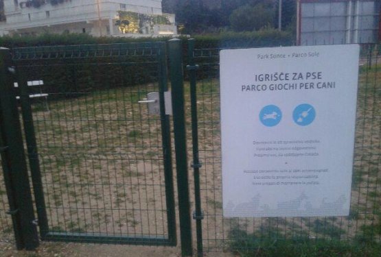 Pasje igri&scaron;če Lucija čaka na sonce