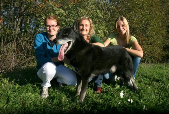 FOTO: Iz zaveti&scaron;ča v toplo zavetje pospremili 4 starej&scaron;e pse!